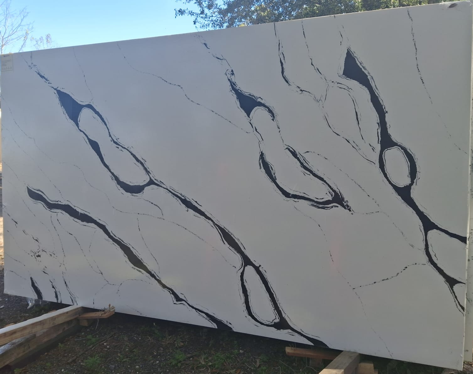 Panda White slab sample
